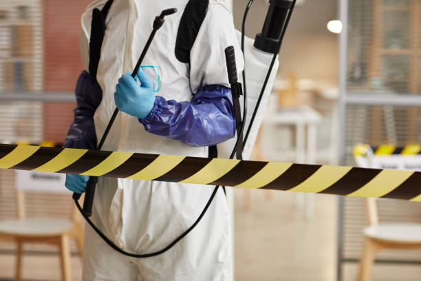 Professional Sewage Cleanup technician working in Douglas, AZ